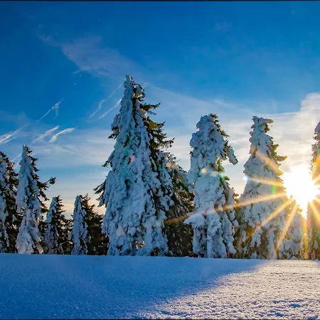 Dom wakacyjny Kulik *