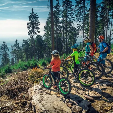 Kulik Dom wakacyjny Boží Dar